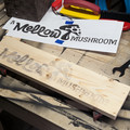 09_logo_transfer.jpg